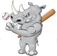 Rhino Baseball 